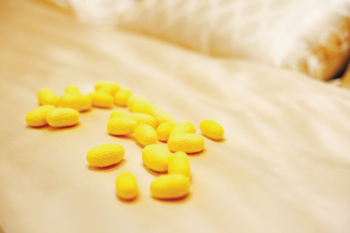 图片1.jpg 图片1.jpg