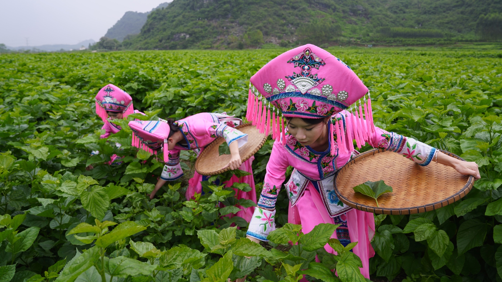 微信图片_20250416145918_20.jpg 微信图片_20250416145918_20.jpg